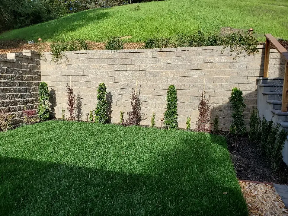 Segmental block retaining wall behind a new sod lawn, with columnar evergreen shrubs, low voltage path lights, and a grassy hillside above